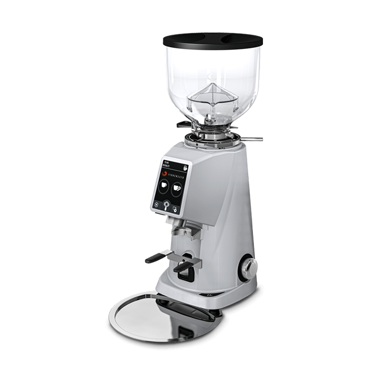 Кофемолка  Fiorenzato F4 EVO серая