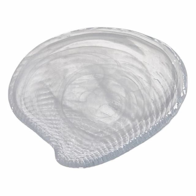 Тарелка ARDACAM Clamocs ARD 6938.2 14x13 см h 2,5 см (стекло, цвет / декор белый)