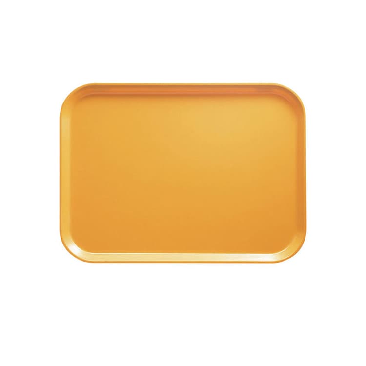Пластиковый поднос Cambro 1216 504 (31х41 см)